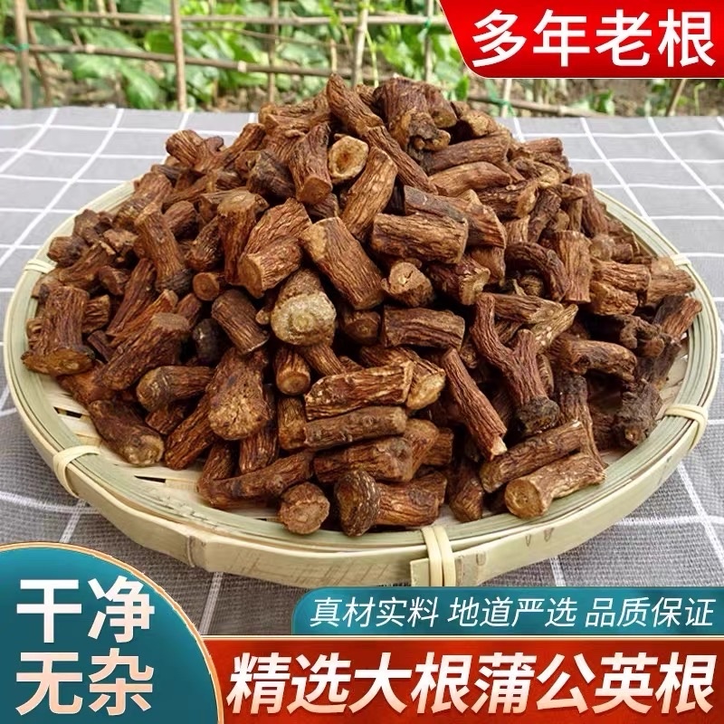 蒲公英根长白山野生蒲公英根茶无硫***批发零售