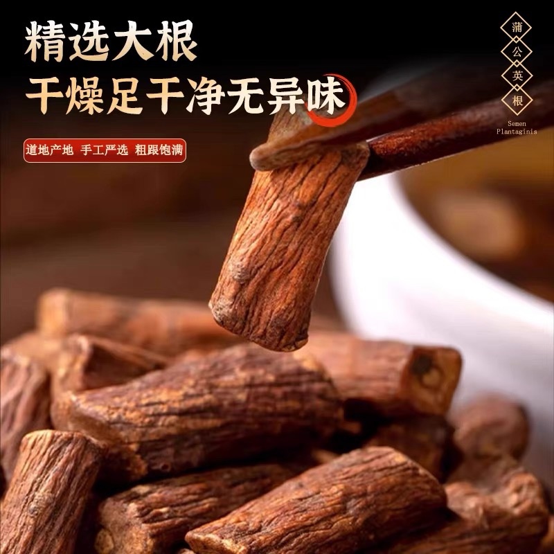 蒲公英根长白山野生蒲公英根茶无硫***批发零售