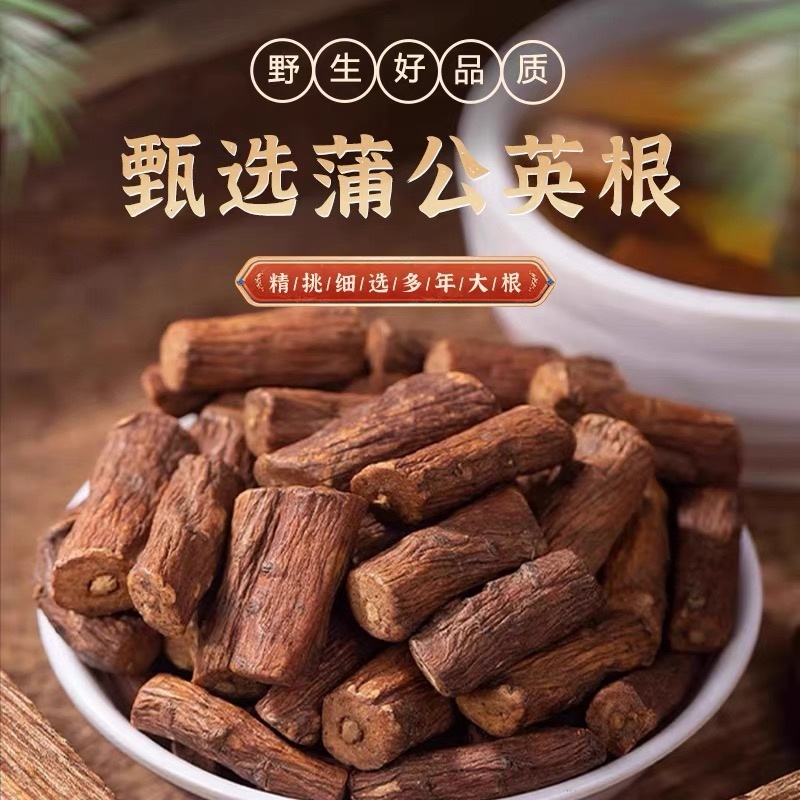 蒲公英根长白山野生蒲公英根茶无硫***批发零售