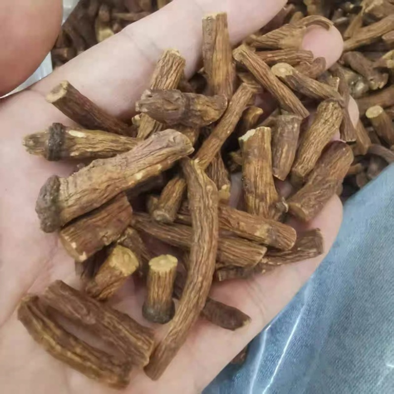 蒲公英根长白山野生蒲公英根茶无硫***批发零售