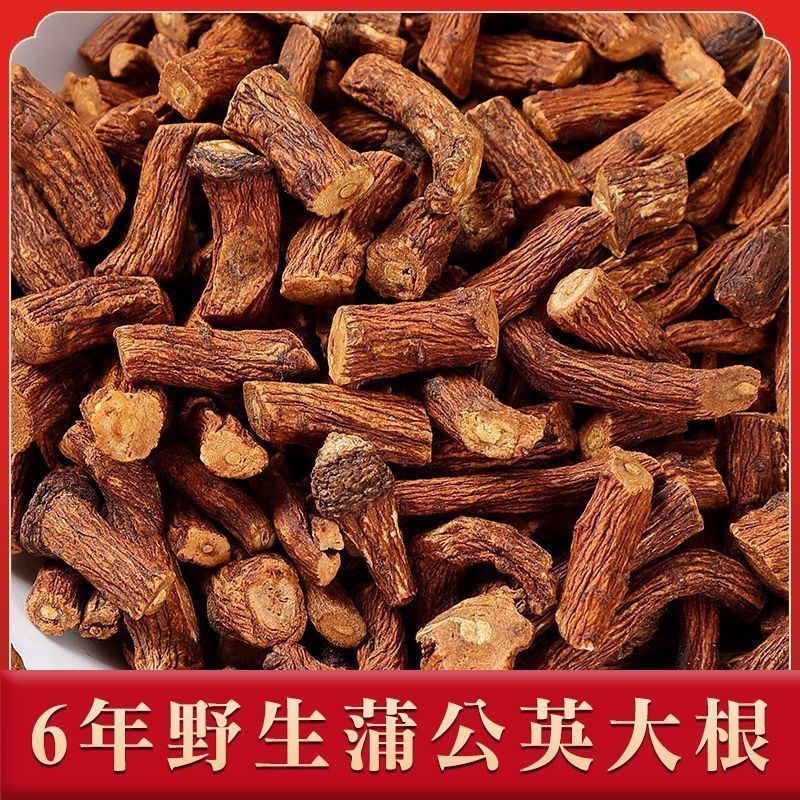 蒲公英根长白山野生蒲公英根茶无硫***批发零售