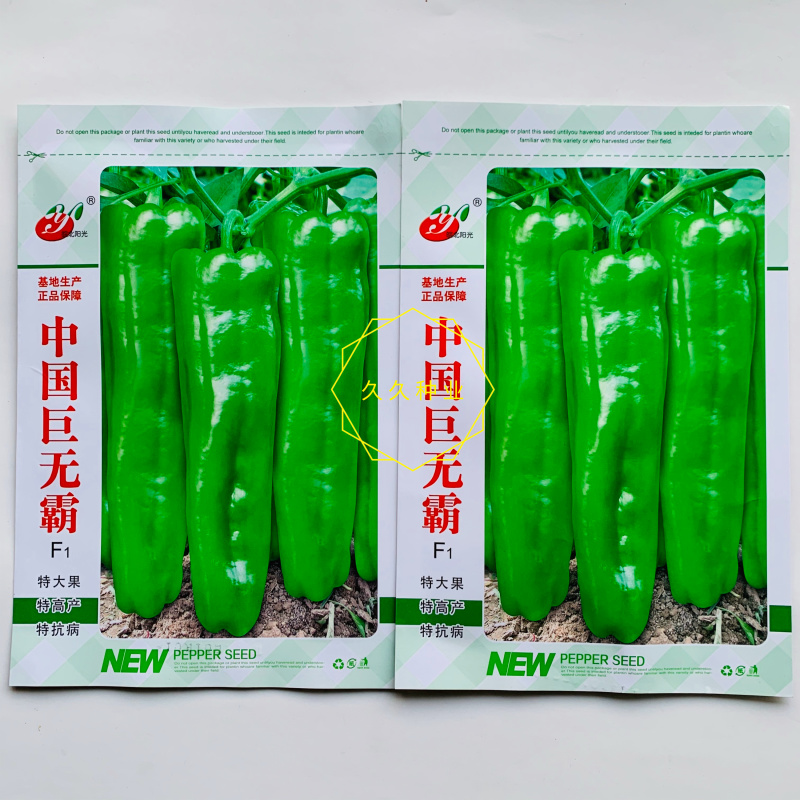 中国巨无霸辣椒种子抗病早熟青红两用高产辣椒