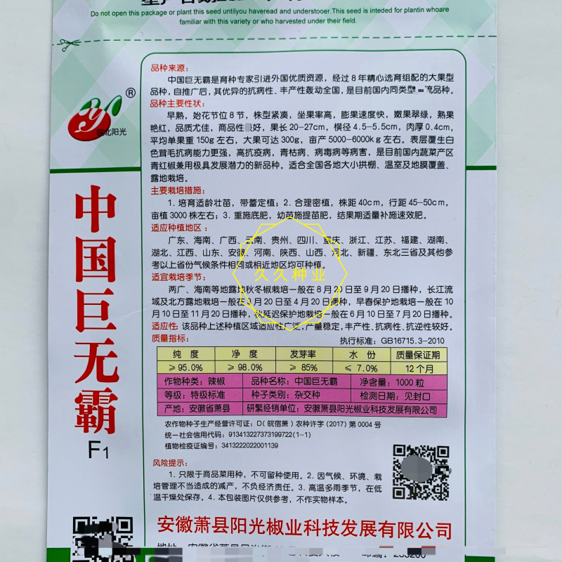 中国巨无霸辣椒种子抗病早熟青红两用高产辣椒