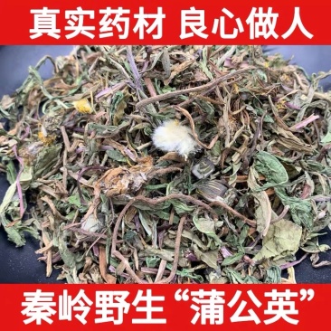 蒲公英野生蒲公英干货婆婆丁自然晒干无硫熏批发零售