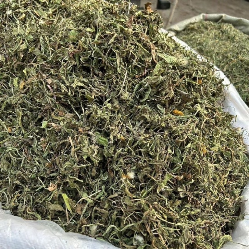 蒲公英野生蒲公英干货婆婆丁自然晒干无硫熏批发零售