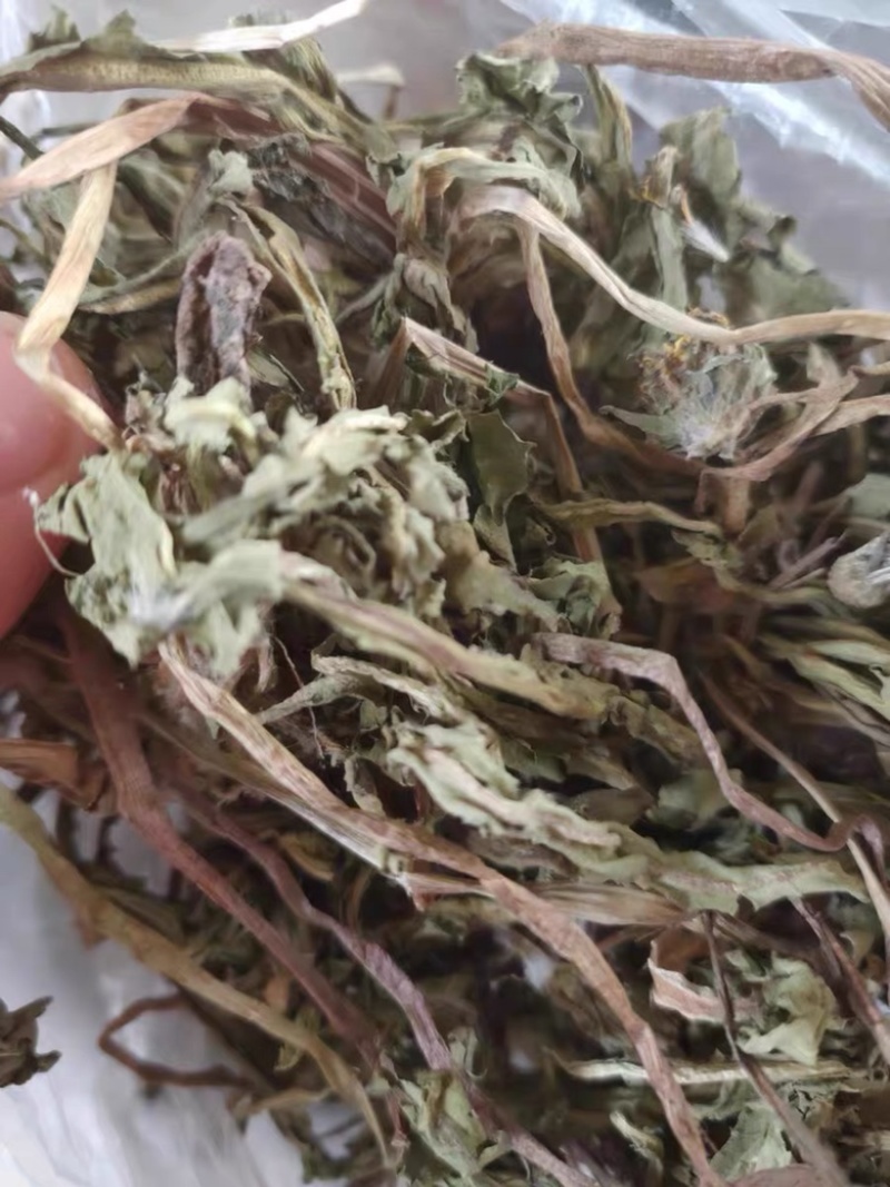 蒲公英野生蒲公英干货婆婆丁自然晒干无硫熏批发零售