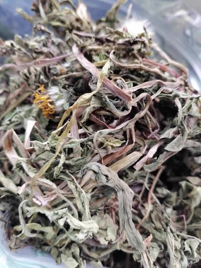 蒲公英野生蒲公英干货婆婆丁自然晒干无硫熏批发零售
