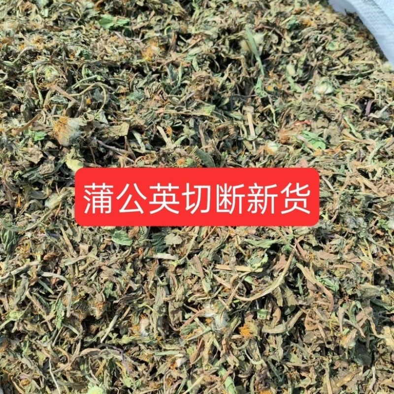 蒲公英野生蒲公英干货婆婆丁自然晒干无硫熏批发零售