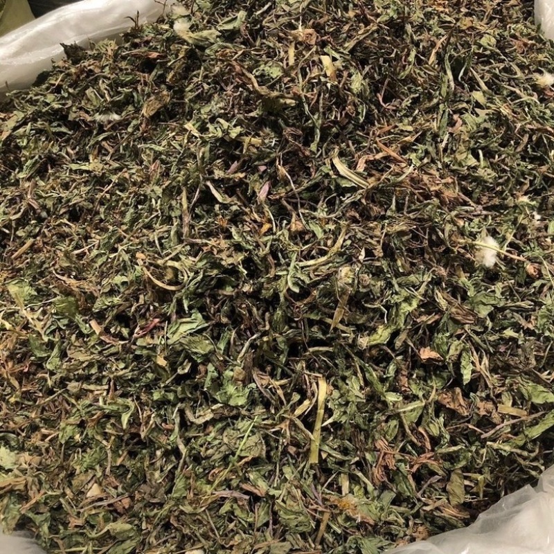 蒲公英野生蒲公英干货婆婆丁自然晒干无硫熏批发零售