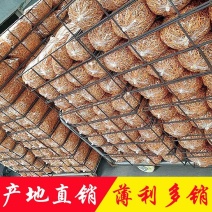 虫草花批发干货北虫草土特产蛹虫草产地直销