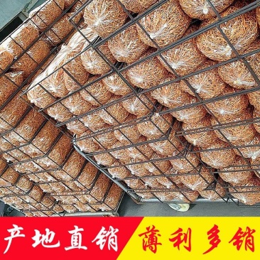 虫草花批发干货北虫草土特产蛹虫草产地直销