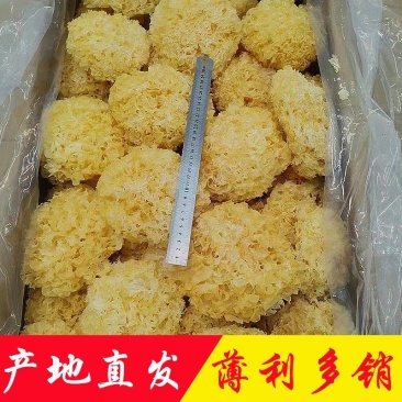 银耳产地直销批发大花雪耳糯耳干货精品烘干菌菇白木耳