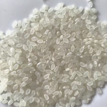 东北珍珠大米