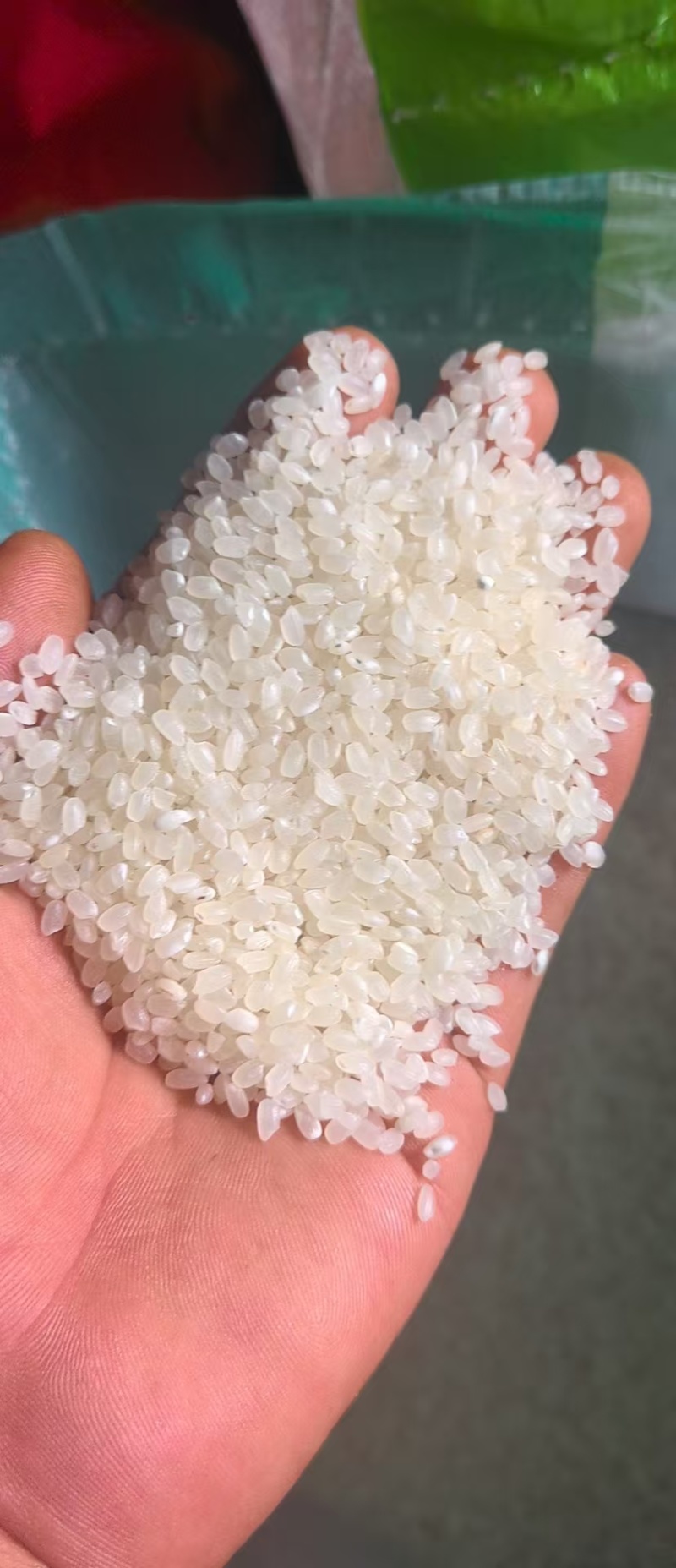 东北珍珠大米
