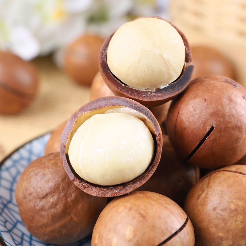 夏威夷果一件代发