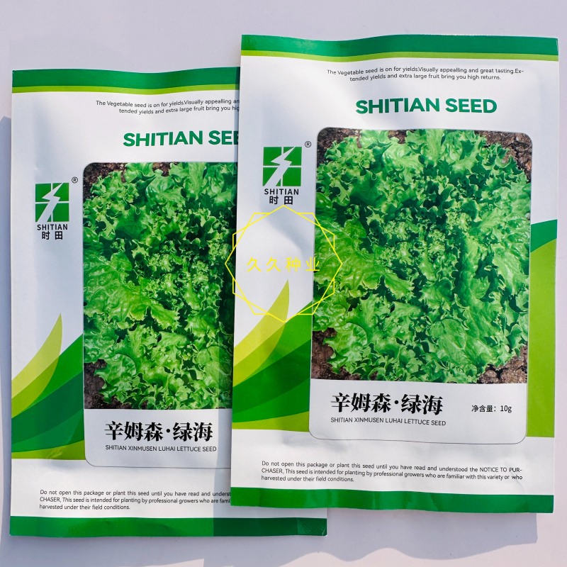 辛姆森绿海生菜种子生育期45天左右抗病性好耐湿热性好晚抽