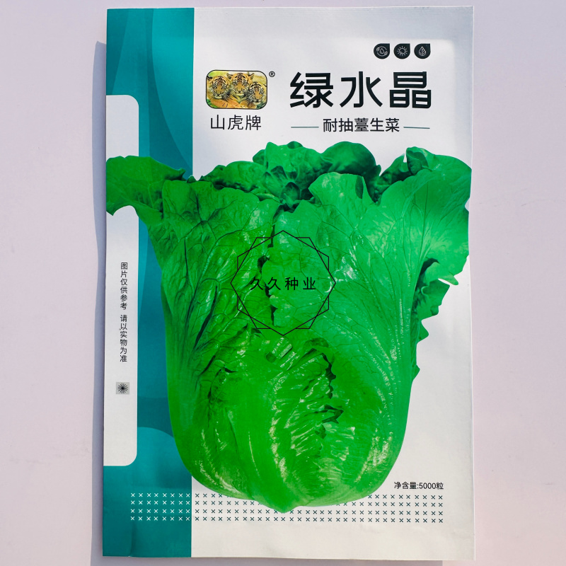 绿水晶生菜种子深绿叶半包心生菜种子脆甜味美耐抽苔生菜种子