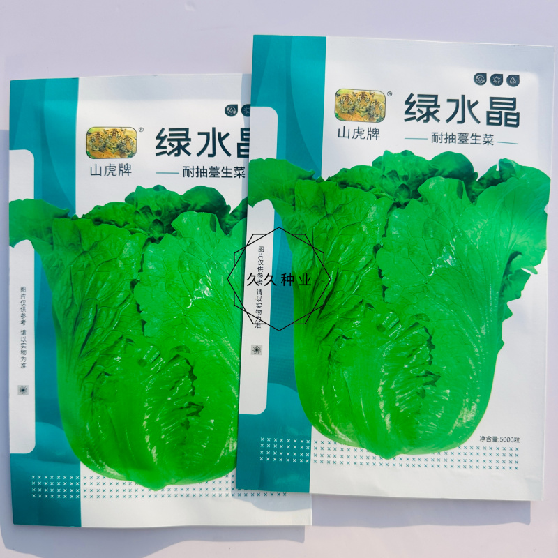 绿水晶生菜种子深绿叶半包心生菜种子脆甜味美耐抽苔生菜种子