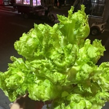 四川精品儿菜产地直发一手货源质量保障全国发货