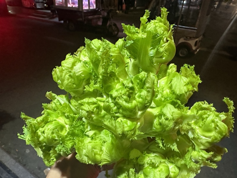 四川精品儿菜产地直发一手货源质量保障全国发货