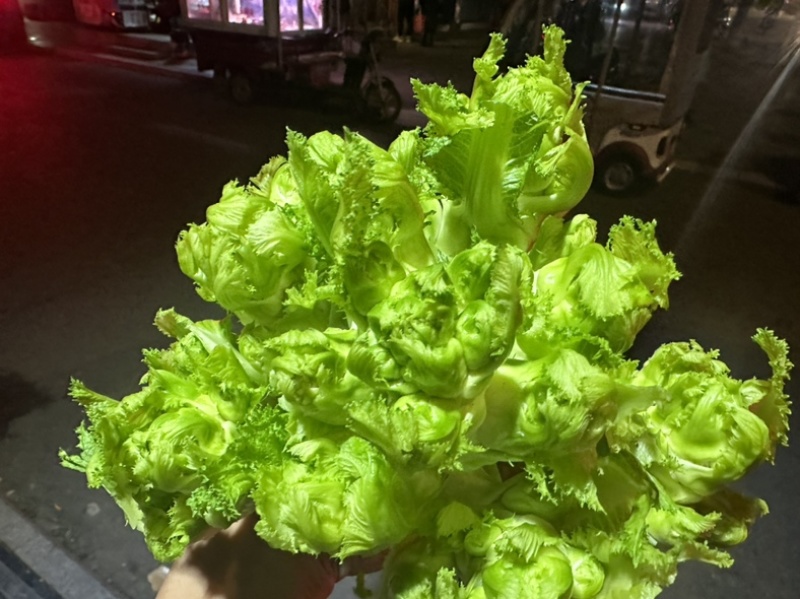 四川精品儿菜产地直发一手货源质量保障全国发货