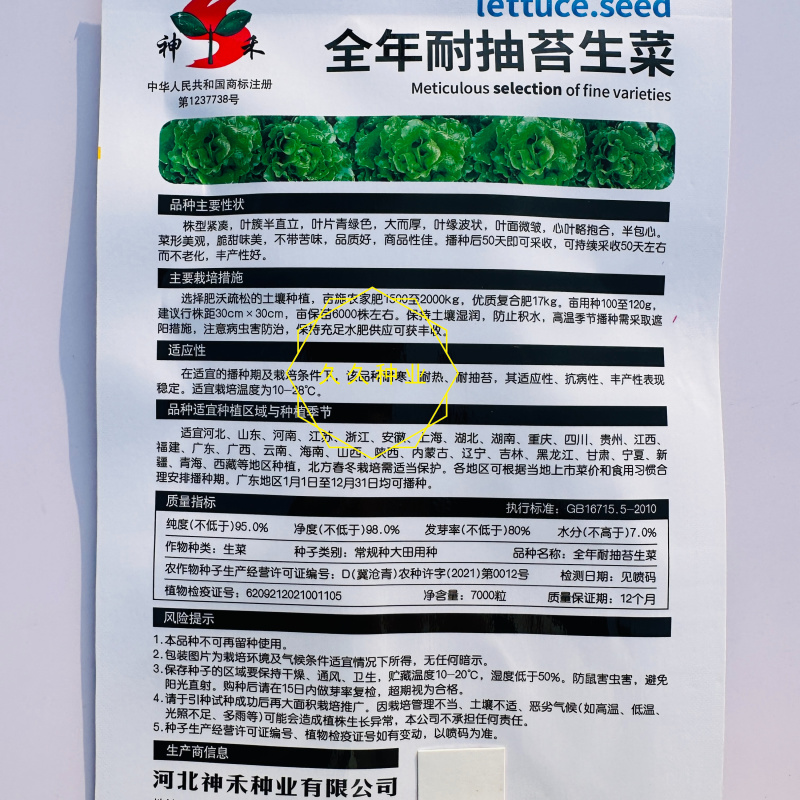 全年耐抽苔生菜种子半包心生菜种子不带苦味脆甜味美生菜种子