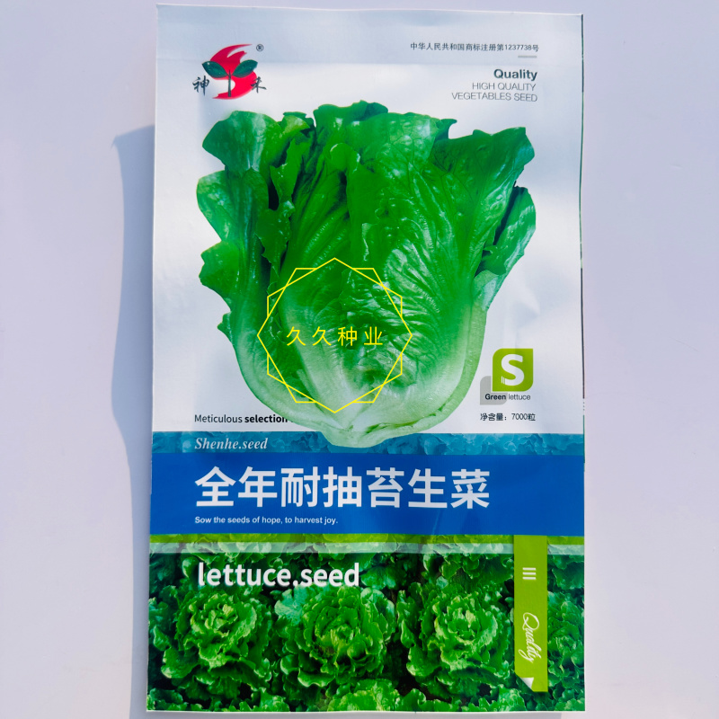 全年耐抽苔生菜种子半包心生菜种子不带苦味脆甜味美生菜种子