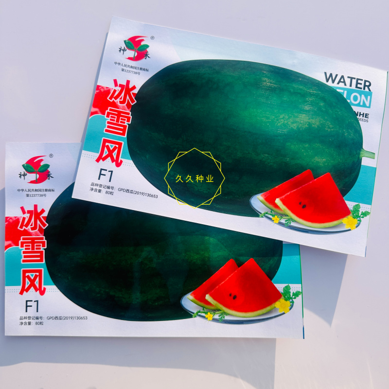 神禾冰雪风黑皮西瓜种子杂交一代优质大果果皮深绿色高产抗病