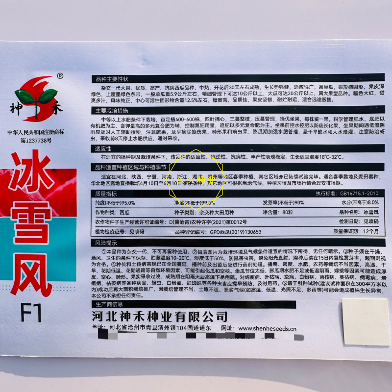 神禾冰雪风黑皮西瓜种子杂交一代优质大果果皮深绿色高产抗病