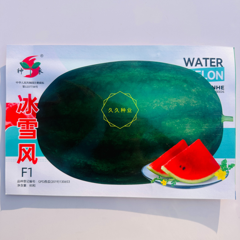 神禾冰雪风黑皮西瓜种子杂交一代优质大果果皮深绿色高产抗病