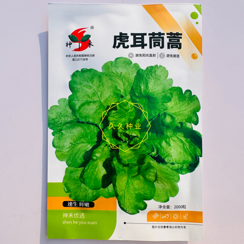 神禾虎耳茼蒿种子叶片肥厚清香皇帝菜种子耐寒蒿蒿菜菊花菜种