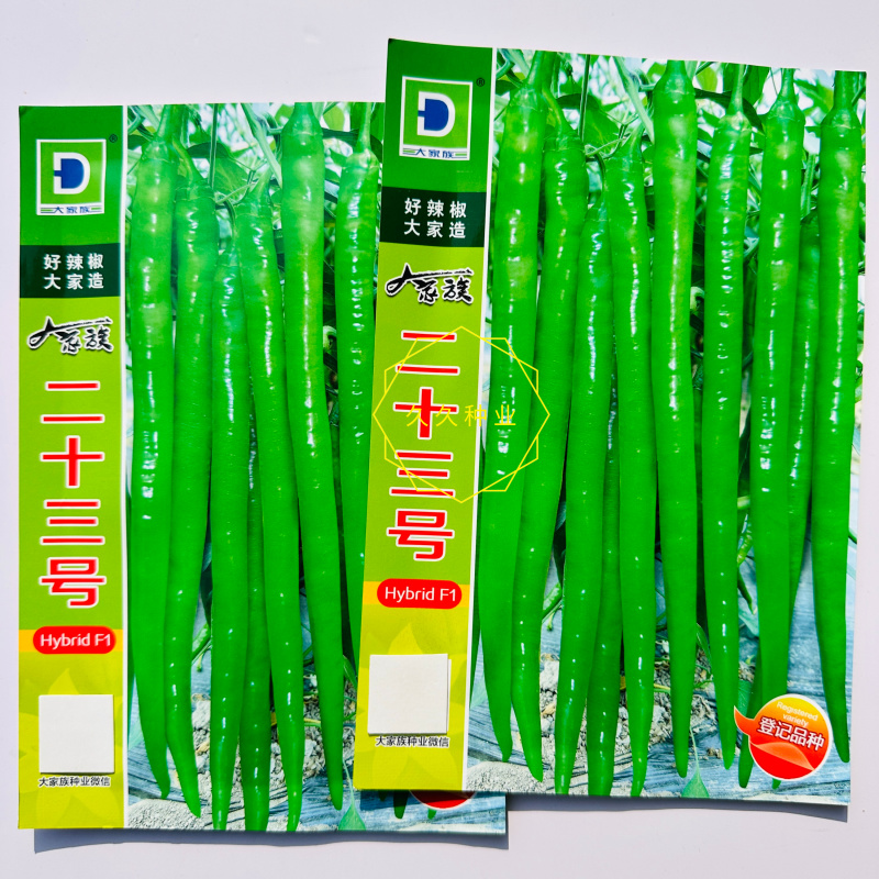 大家族二十三号线椒种子早熟大果长线椒种籽味辣抗病毒病强