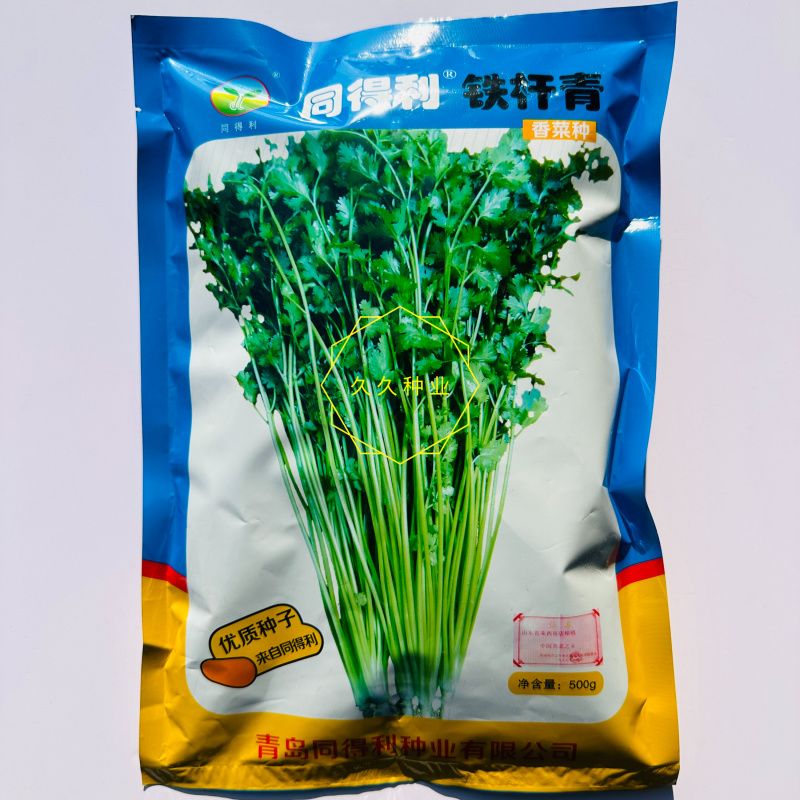 同得利铁杆青香菜种子叶片中等深绿有光泽杆实直立香味浓