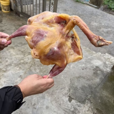 【咸鸡】风干老母鸡