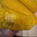 黄金玉米