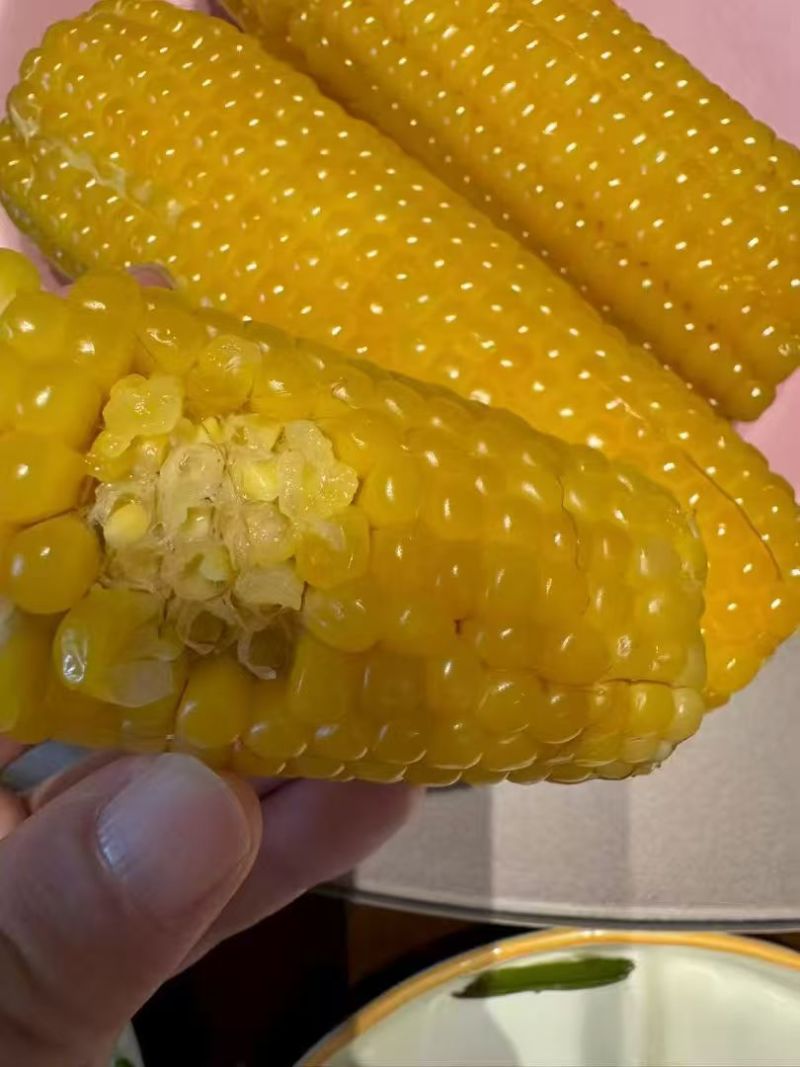 黄金玉米