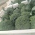 花菜西兰花基地直发货源充足质量保证。