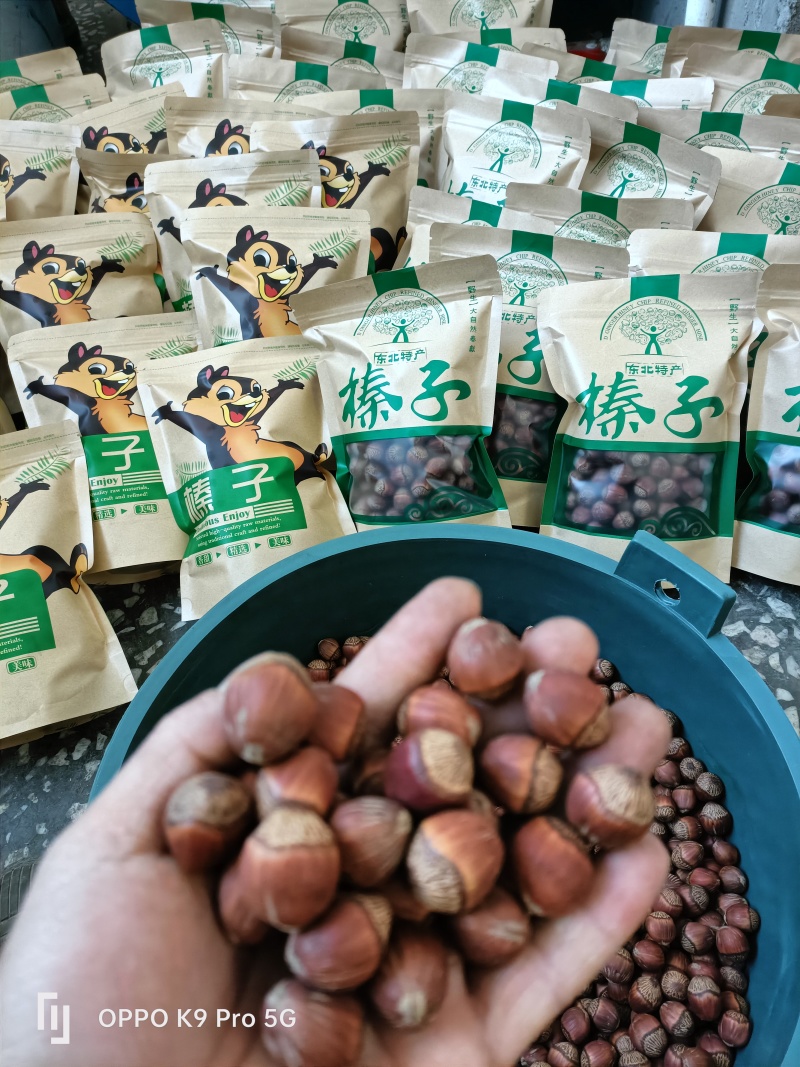 现炒大果榛子批发零售，自产自销保证质量品质