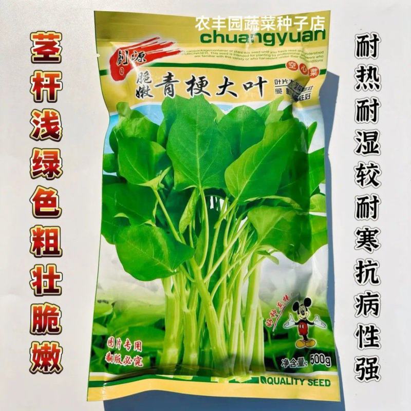 脆嫩青梗大叶空心菜种子抗病性强茎杆粗壮脆嫩空心菜种子蔬菜