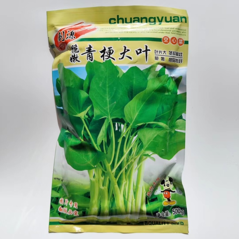 脆嫩青梗大叶空心菜种子抗病性强茎杆粗壮脆嫩空心菜种子蔬菜