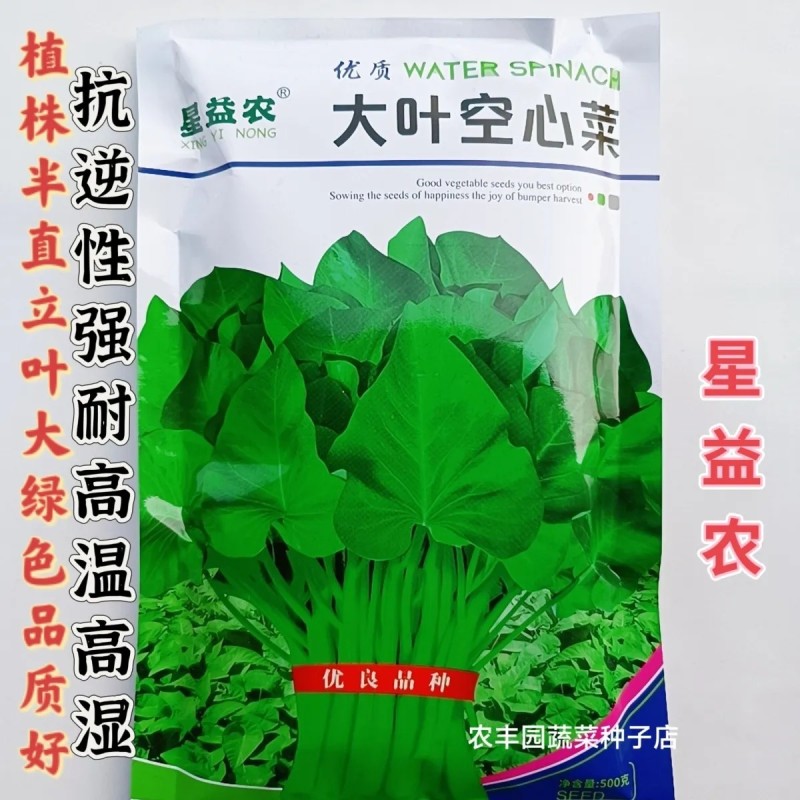 星益农大叶空心菜种子叶大绿色耐高温高湿空心菜种子抗逆性强