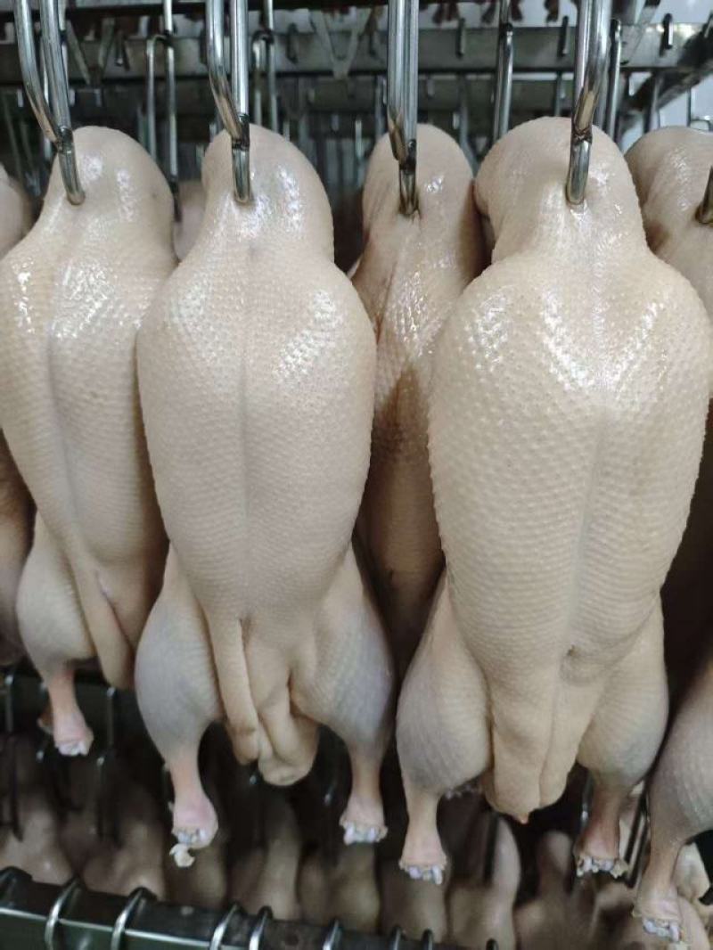 腌制鸭丕，无需再腌制，自然解冻就可以烤，省时省力