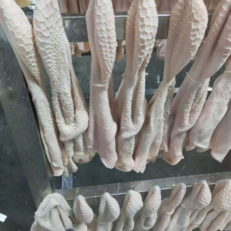 羊净肚