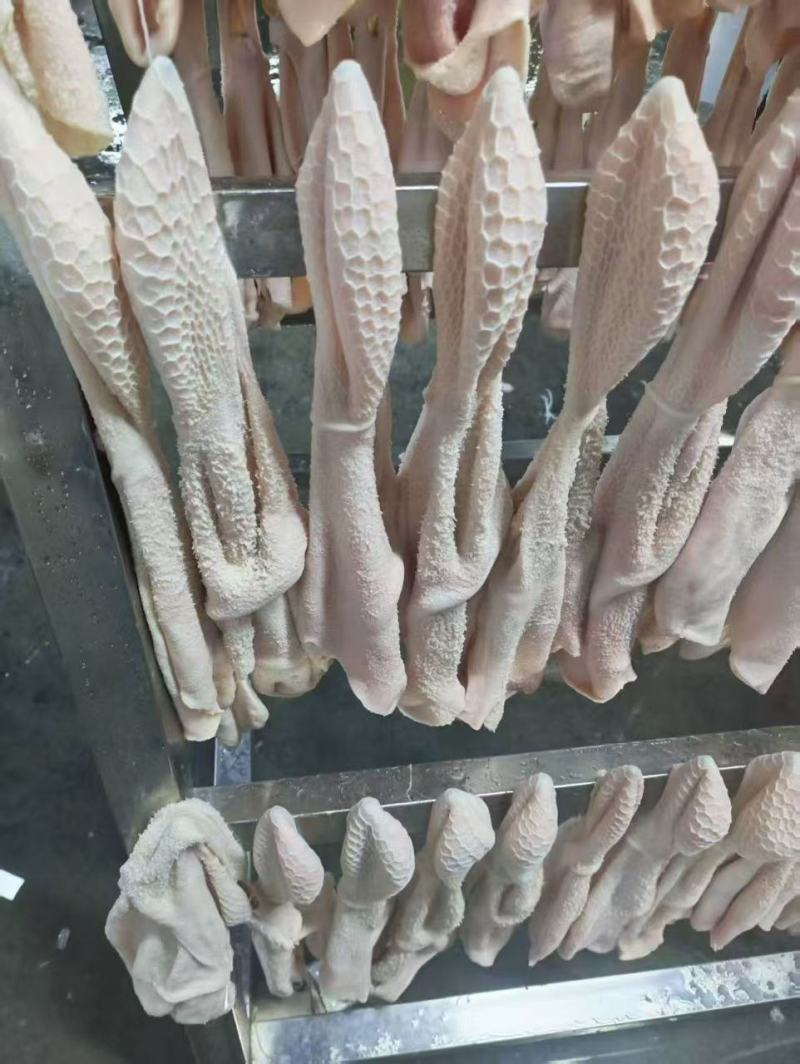 羊净肚