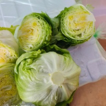 精品球生菜