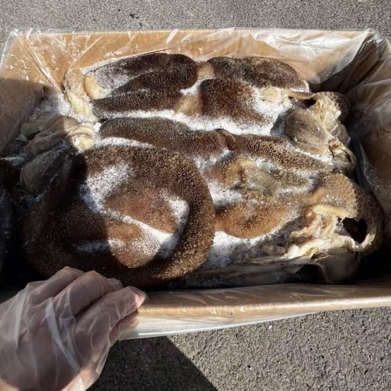 熟黑羊肚17020斤