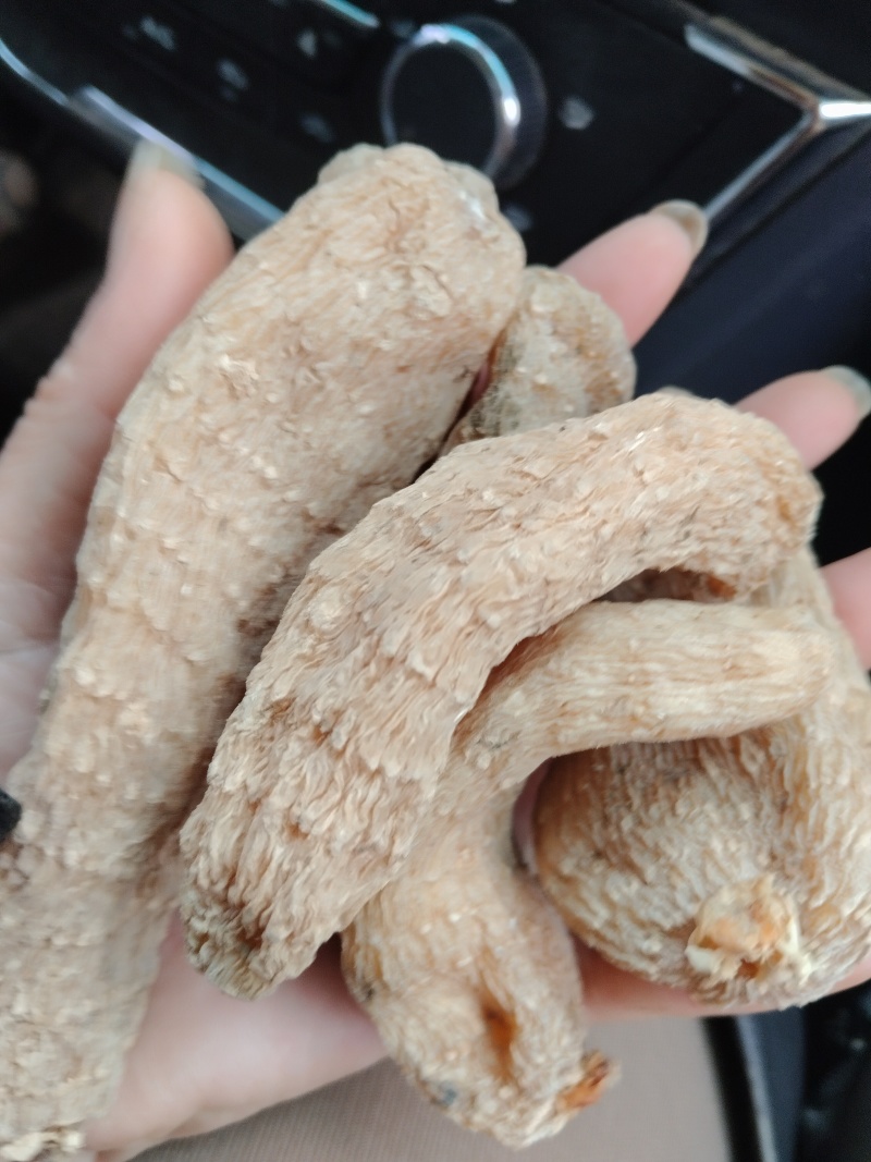 野生手选天麻大个色好无流批发天麻片批发补品营养送礼吃！！