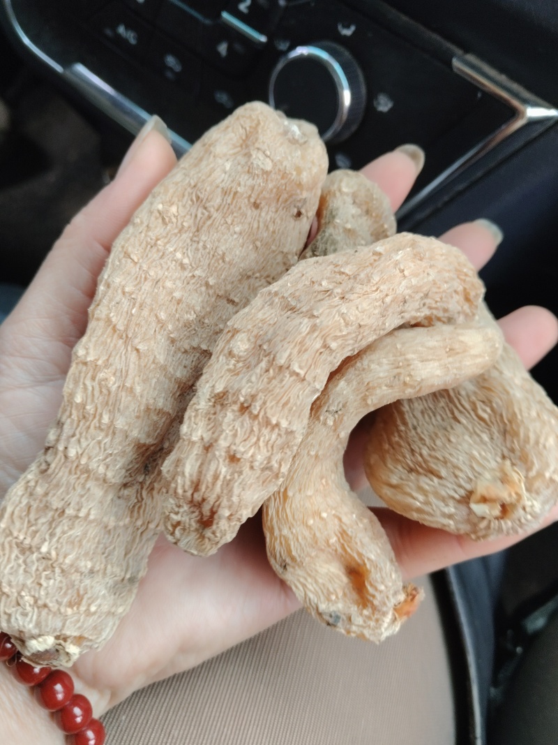 野生手选天麻大个色好无流批发天麻片批发补品营养送礼吃！！