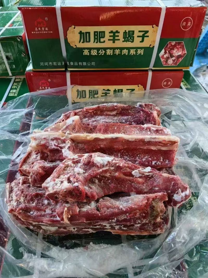 马氏羊蝎子到货225元20斤