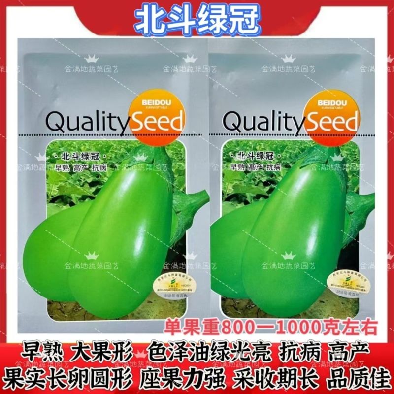 天星北斗绿冠茄子种子早熟大果抗病高产青茄子种子油亮光亮圆